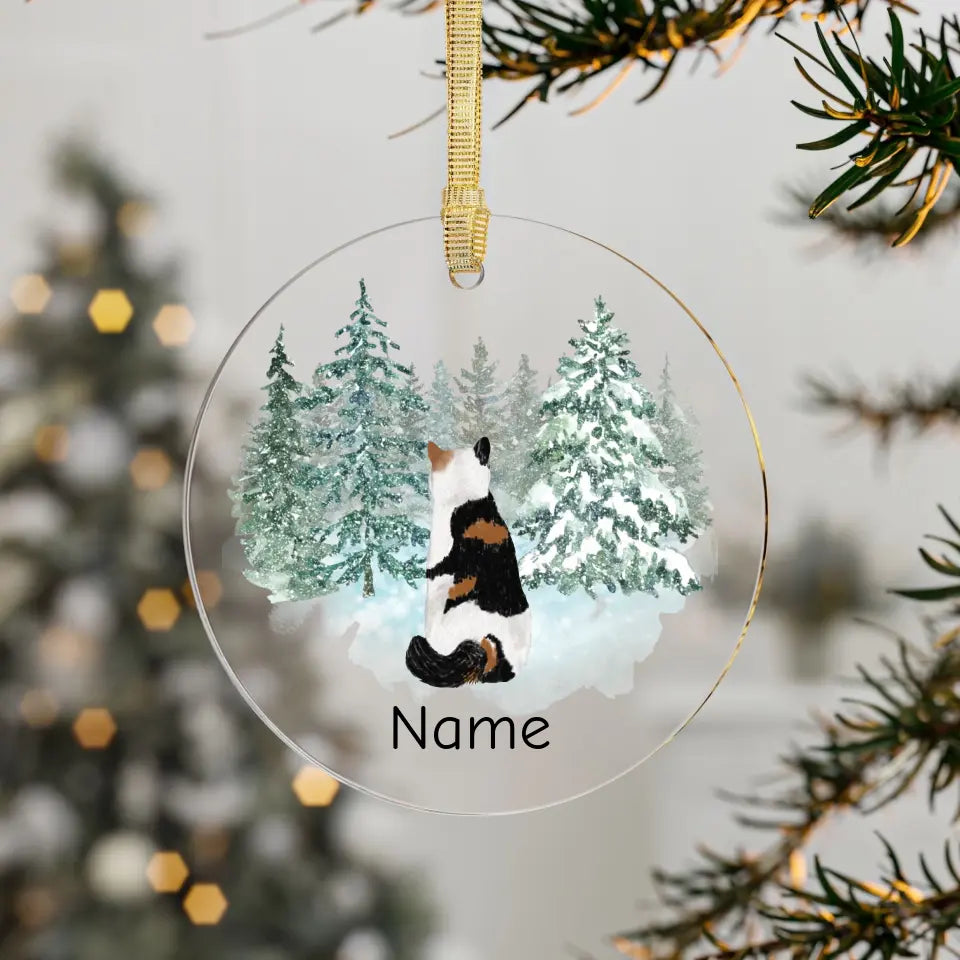 blank ornament mockup