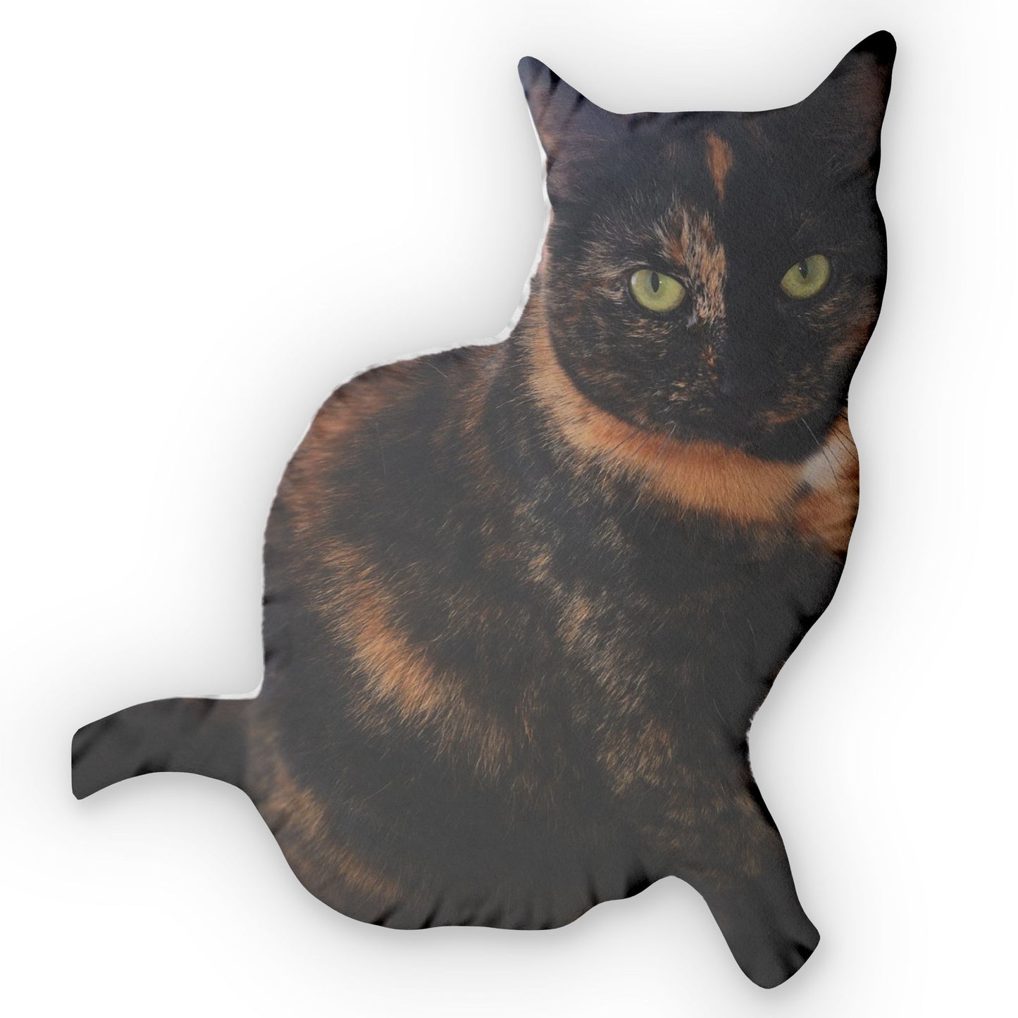 Your Very Own Torty Pillow