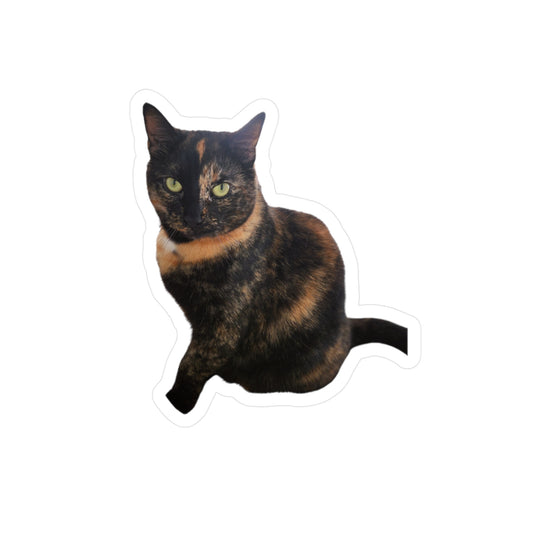 Your Own Torty Kitty Sticker 1